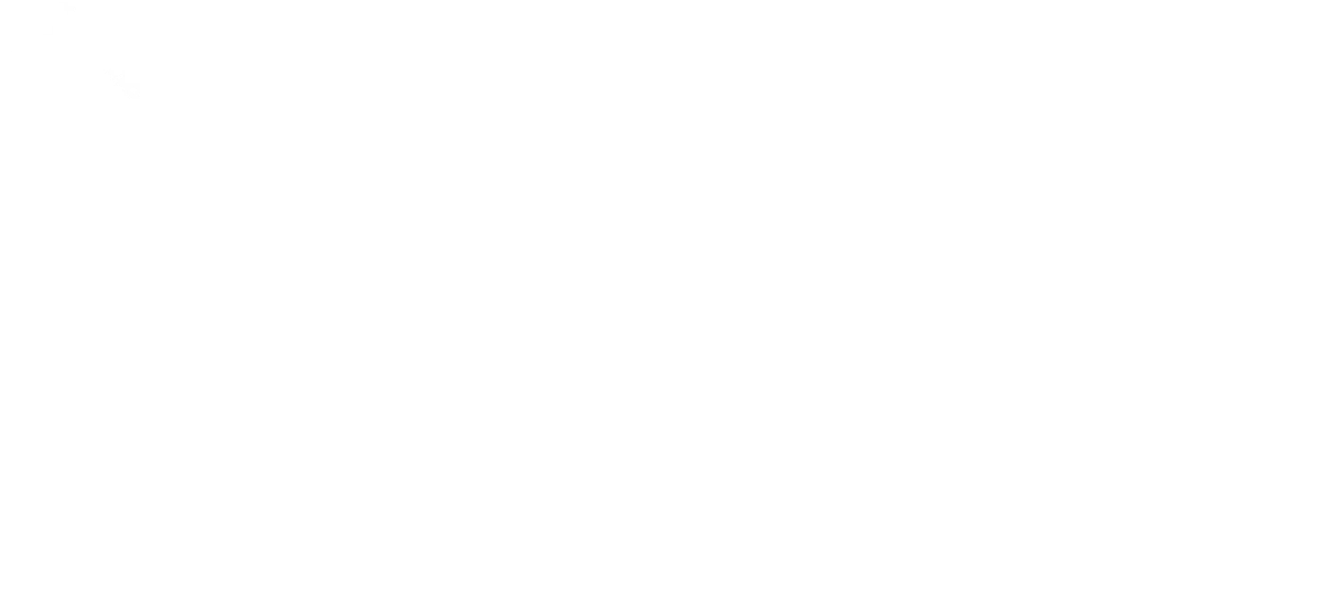 DENSO